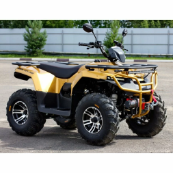 Квадроцикл IRBIS ATV 200, фото 4 Квадроцикл IRBIS ATV 200, фото 4