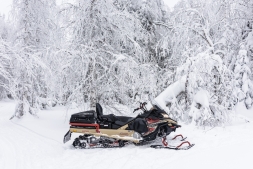 Снегоход AODES Snowcross 1000 SWT LTS, фото 11