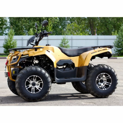 Квадроцикл IRBIS ATV 200 PREMIUM, фото 2 Квадроцикл IRBIS ATV 200 PREMIUM, фото 2