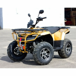 Квадроцикл IRBIS ATV 200 PREMIUM, фото 1 Квадроцикл IRBIS ATV 200 PREMIUM, фото 1