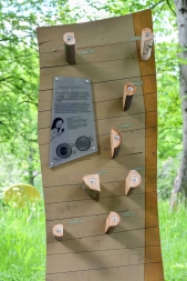 Природные парки: Деревья, фото 1