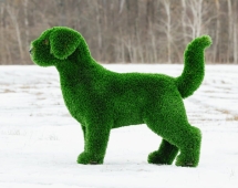 Топиари Собака охотничья газон Eco