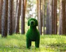 Топиари Собака охотничья газон Eco