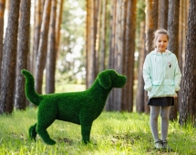 Топиари Собака охотничья газон Eco