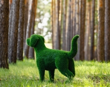 Топиари Собака охотничья газон Eco