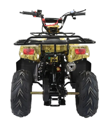 Квадроцикл ATV Termit TT Cross, фото 4