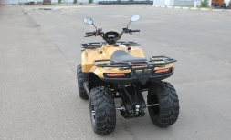 Квадроцикл IRBIS ATV 250 Premium, фото 4 Квадроцикл IRBIS ATV 250 Premium, фото 4