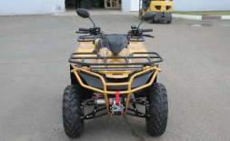 Квадроцикл IRBIS ATV 250 Premium, фото 3 Квадроцикл IRBIS ATV 250 Premium, фото 3