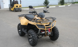Квадроцикл IRBIS ATV 250 Premium, фото 2 Квадроцикл IRBIS ATV 250 Premium, фото 2