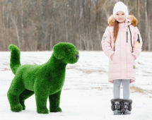 Топиари Собака охотничья газон Deluxe