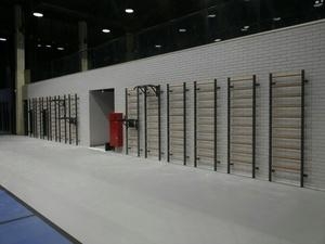 Шведская стенка EffectSport комбинированная Гибрид-БП-ДВ, фото 14