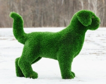 Топиари Собака охотничья газон Premium