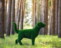Топиари Собака охотничья газон Premium