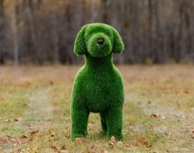 Топиари Собака охотничья газон Premium