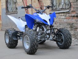 Квадроцикл ATV Pantera 150 CVT, фото 3