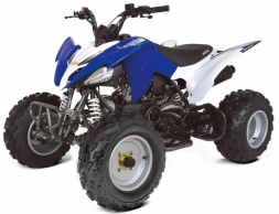 Квадроцикл ABM Scorpion 250, фото 3 Квадроцикл ABM Scorpion 250, фото 3