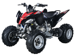 Квадроцикл ABM Scorpion 250, фото 1 Квадроцикл ABM Scorpion 250, фото 1