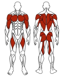 Двойные лыжи (зеленый) - Уличный тренажер - СТ 009-12.И1, фото 6