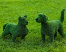 Топиари Собака Бультерьер - газон Eco