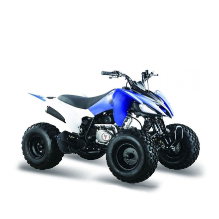 Квадроцикл ATV Pantera 125, фото 2