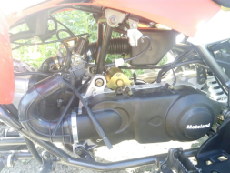 Квадроцикл ABM Scorpion 150, фото 8 Квадроцикл ABM Scorpion 150, фото 8