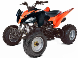 Квадроцикл ABM Scorpion 150, фото 2 Квадроцикл ABM Scorpion 150, фото 2