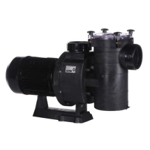 Насос с префильтром Hayward HCP38253E