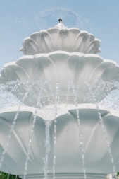 Эдемский сердечник, фото 3