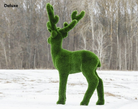 Топиари олень Козинак - газон Есо Green, фото 4