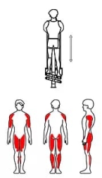 ZOV-007 Двойной степпер, фото 2