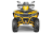 Квадроцикл СТЕЛС ATV 800 Guepard Trophy EPS CVTech (ПСМ)