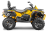 Квадроцикл СТЕЛС ATV 800 Guepard Trophy EPS CVTech (ПСМ)