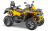 Квадроцикл СТЕЛС ATV 800 Guepard Trophy EPS CVTech (ПСМ)