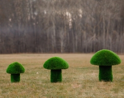 Топиари Гриб белый, размер S - газон Eco, фото 5