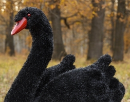 Топиари  2 лебедя черных Блэк - газон Eco , фото 5