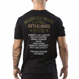 Футболка Headrush heashirt0455, фото 2
