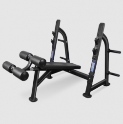 BRONZE GYM BR-1013 Скамья для жима с отрицательным наклоном, фото 1