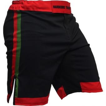 Шорты Hardcore Training hctshorts052, фото 1