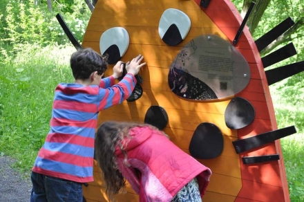 Природные парки: Подземная фауна, фото 2