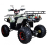 Квадроцикл Avantis Patriot Lux M