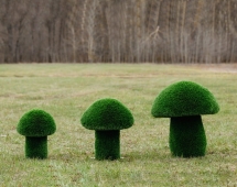 Топиари Гриб белый, размер S - газон Premium