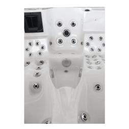 Спа бассейн Delfi Spa Nerida, фото 5